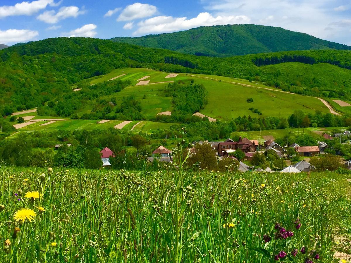 Minihotel Zolotoe Runo Ploskoye Εξωτερικό φωτογραφία